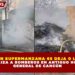 INCENDIO EN SUPERMANZANA 65 DEJA 0 LESIONADOS Y MOVILIZA A BOMBEROS EN ANTIGUO HOSPITAL GENERAL DE CANCÚN