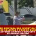 FGE DE QUINTANA ROO INVESTIGA 100% DE COLECTAS Y PONE EN DUDA A RECOLECTORES LIGADOS A SUPUESTO CENTRO DE REHABILITACIÓN