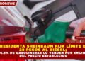 PRESIDENTA SHEINBAUM FIJA LÍMITE DE 28 PESOS AL DIÉSEL; 34.5% DE GASOLINERAS LO VENDEN POR ENCIMA DEL PRECIO ESTABLECIDO
