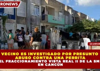 VECINO ES INVESTIGADO POR PRESUNTO ABUSO CONTRA UNA PERRITA EN EL FRACCIONAMIENTO VISTA REAL II DE LA SM 255 EN CANCÚN