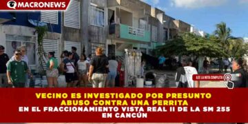 VECINO ES INVESTIGADO POR PRESUNTO ABUSO CONTRA UNA PERRITA EN EL FRACCIONAMIENTO VISTA REAL II DE LA SM 255 EN CANCÚN