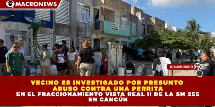 VECINO ES INVESTIGADO POR PRESUNTO ABUSO CONTRA UNA PERRITA EN EL FRACCIONAMIENTO VISTA REAL II DE LA SM 255 EN CANCÚN