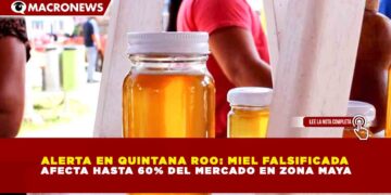 ALERTA EN QUINTANA ROO: MIEL FALSIFICADA AFECTA HASTA 60% DEL MERCADO EN ZONA MAYA