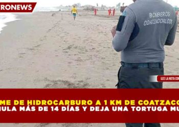 DERRAME DE HIDROCARBURO A 1 KM DE COATZACOALCOS ACUMULA MÁS DE 14 DÍAS Y DEJA 1 TORTUGA MUERTA