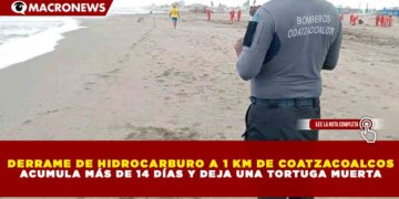 DERRAME DE HIDROCARBURO A 1 KM DE COATZACOALCOS ACUMULA MÁS DE 14 DÍAS Y DEJA 1 TORTUGA MUERTA