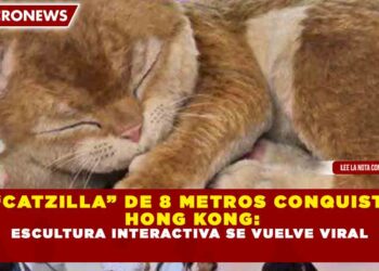“CATZILLA” DE 8 METROS CONQUISTA HONG KONG: ESCULTURA INTERACTIVA SE VUELVE VIRAL
