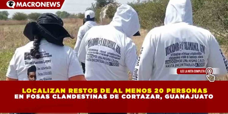 LOCALIZAN RESTOS DE AL MENOS 20 PERSONAS EN FOSAS CLANDESTINAS DE CORTAZAR, GUANAJUATO
