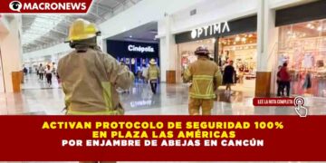 ACTIVAN PROTOCOLO DE SEGURIDAD 100% EN PLAZA LAS AMÉRICAS POR ENJAMBRE DE ABEJAS EN CANCÚN