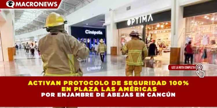 ACTIVAN PROTOCOLO DE SEGURIDAD 100% EN PLAZA LAS AMÉRICAS POR ENJAMBRE DE ABEJAS EN CANCÚN