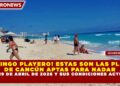 ¡DOMINGO PLAYERO! ESTAS SON LAS PLAYAS DE CANCÚN APTAS PARA NADAR ESTE 19 DE ABRIL DE 2026 Y SUS CONDICIONES ACTUALES