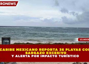 CARIBE MEXICANO REPORTA 36 PLAYAS CON SARGAZO EXCESIVO Y ALERTA POR IMPACTO TURÍSTICO