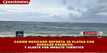 CARIBE MEXICANO REPORTA 36 PLAYAS CON SARGAZO EXCESIVO Y ALERTA POR IMPACTO TURÍSTICO