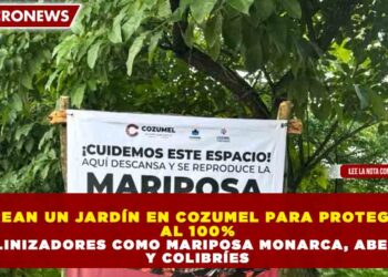 CREAN UN JARDÍN EN COZUMEL PARA PROTEGER AL 100% POLINIZADORES COMO MARIPOSA MONARCA, ABEJAS Y COLIBRÍES
