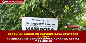 CREAN UN JARDÍN EN COZUMEL PARA PROTEGER AL 100% POLINIZADORES COMO MARIPOSA MONARCA, ABEJAS Y COLIBRÍES
