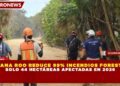 QUINTANA ROO REDUCE 99% INCENDIOS FORESTALES: SOLO 44 HECTÁREAS AFECTADAS EN 2026