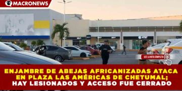 ENJAMBRE DE ABEJAS AFRICANIZADAS ATACA EN PLAZA LAS AMÉRICAS DE CHETUMAL; HAY LESIONADOS Y ACCESO FUE CERRADO