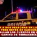 EJECUTAN A DOS PERSONAS EN LA COLONIA TRES REYES DE CANCÚN; HALLAN LOS CUERPOS EN UN CAMINO DE TERRACERÍA