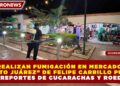 REALIZAN FUMIGACIÓN EN MERCADO «BENITO JUÁREZ» DE FELIPE CARRILLO PUERTO TRAS REPORTES DE CUCARACHAS Y ROEDORES