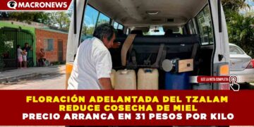FLORACIÓN ADELANTADA DEL TZALAM REDUCE COSECHA DE MIEL PRECIO ARRANCA EN 31 PESOS POR KILO