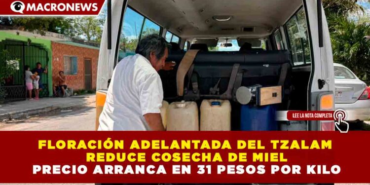 FLORACIÓN ADELANTADA DEL TZALAM REDUCE COSECHA DE MIEL PRECIO ARRANCA EN 31 PESOS POR KILO