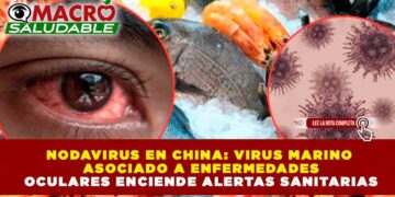 NODAVIRUS EN CHINA: VIRUS MARINO ASOCIADO A ENFERMEDADES OCULARES ENCIENDE ALERTAS SANITARIAS