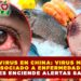 NODAVIRUS EN CHINA: VIRUS MARINO ASOCIADO A ENFERMEDADES OCULARES ENCIENDE ALERTAS SANITARIAS