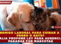 ¿PERMISO LABORAL PARA CUIDAR A TU PERRO O GATO? ITALIA PROPONE LEY PARA AUSENCIAS PAGADAS POR MASCOTAS