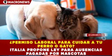 ¿PERMISO LABORAL PARA CUIDAR A TU PERRO O GATO? ITALIA PROPONE LEY PARA AUSENCIAS PAGADAS POR MASCOTAS
