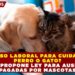 ¿PERMISO LABORAL PARA CUIDAR A TU PERRO O GATO? ITALIA PROPONE LEY PARA AUSENCIAS PAGADAS POR MASCOTAS