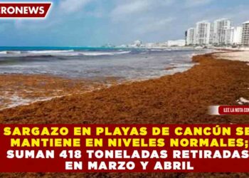 SARGAZO EN PLAYAS DE CANCÚN SE MANTIENE EN NIVELES NORMALES; SUMAN 418 TONELADAS RETIRADAS EN MARZO Y ABRIL