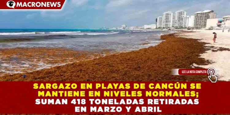 SARGAZO EN PLAYAS DE CANCÚN SE MANTIENE EN NIVELES NORMALES; SUMAN 418 TONELADAS RETIRADAS EN MARZO Y ABRIL