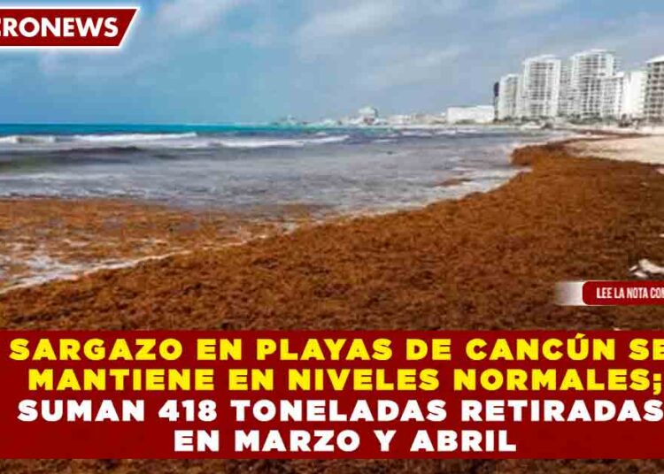 SARGAZO EN PLAYAS DE CANCÚN SE MANTIENE EN NIVELES NORMALES; SUMAN 418 TONELADAS RETIRADAS EN MARZO Y ABRIL