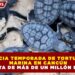 INICIA TEMPORADA DE TORTUGA MARINA EN CANCÚN CON META DE MÁS DE UN MILLÓN DE CRÍAS