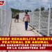 SEOP REHABILITA PUENTE PEATONAL EN AKUMAL PARA GARANTIZAR CRUCE SEGURO EN LA CARRETERA 307
