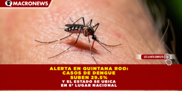 ALERTA EN QUINTANA ROO: CASOS DE DENGUE SUBEN 29.5% Y EL ESTADO SE UBICA EN 6º LUGAR NACIONAL