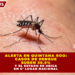 ALERTA EN QUINTANA ROO: CASOS DE DENGUE SUBEN 29.5% Y EL ESTADO SE UBICA EN 6º LUGAR NACIONAL