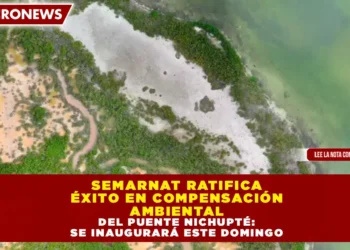 SEMARNAT RATIFICA ÉXITO EN COMPENSACIÓN AMBIENTAL DEL PUENTE NICHUPTÉ: SE INAUGURARÁ ESTE DOMINGO