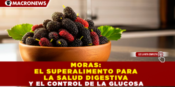 MORAS: EL SUPERALIMENTO PARA LA SALUD DIGESTIVA Y EL CONTROL DE LA GLUCOSA