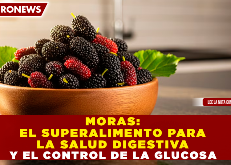 MORAS: EL SUPERALIMENTO PARA LA SALUD DIGESTIVA Y EL CONTROL DE LA GLUCOSA