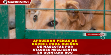 APRUEBAN PENAS DE CÁRCEL PARA DUEÑOS DE MASCOTAS POR ATAQUES NEGLIGENTES