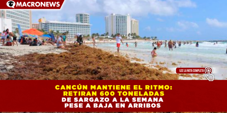 CANCÚN MANTIENE EL RITMO: RETIRAN 600 TONELADAS DE SARGAZO A LA SEMANA PESE A BAJA EN ARRIBOS
