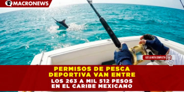 PERMISOS DE PESCA DEPORTIVA VAN ENTRE LOS 263 A MIL 512 PESOS EN EL CARIBE MEXICANO