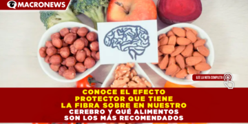 CONOCE EL EFECTO PROTECTOR QUE TIENE LA FIBRA SOBRE NUESTRO CEREBRO Y QUÉ ALIMENTOS SON LOS MÁS RECOMENDADOS