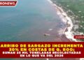 ARRIBO DE SARGAZO INCREMENTA 30% EN COSTAS DE Q. ROO; SUMAN 25 MIL TONELADAS RECOLECTADAS EN LO QUE VA DEL 2026