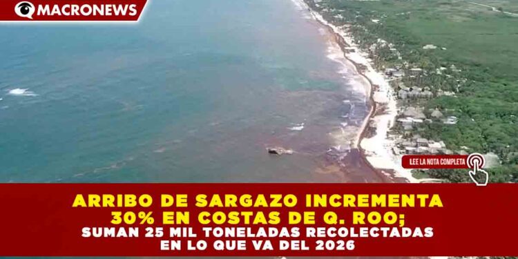 ARRIBO DE SARGAZO INCREMENTA 30% EN COSTAS DE Q. ROO; SUMAN 25 MIL TONELADAS RECOLECTADAS EN LO QUE VA DEL 2026